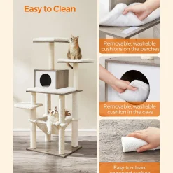 Lissabon kradsetræ - Grå
