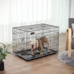 Lola transportbur